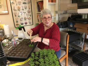 About Judy Kirkland - Asclepias and More