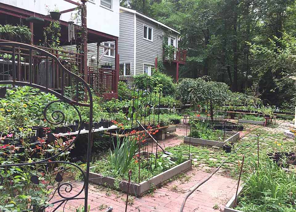 Asclepias and More Garden in Grovetown, GA